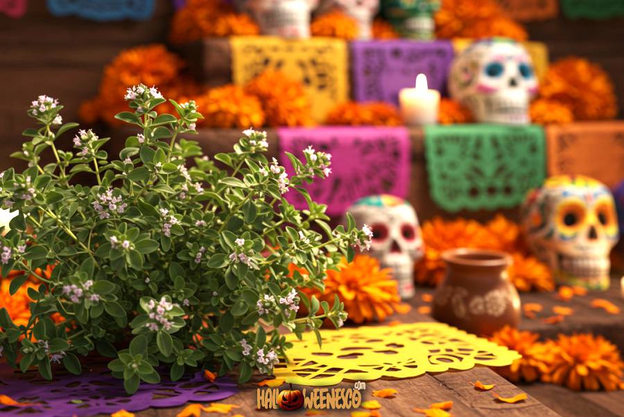 El Incienso para Altar de Muertos 🔥🌿 ¡Copal y Otros Elementos Aromáticos para la Ofrenda! 45 IMAGEN - halloweenesco - V2 - Incienso para Altar de Muertos - copal para dia de muertos - planta de Mejorana - 06