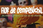 IMAGEN - halloweenesco - V2 - Flor de Cempasúchil - significado de la flor de cempasúchil - 05