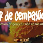 La Flor de Cempasúchil 🏵️ ¡El Misterioso Puente Entre el Mundo de los Vivos y los Muertos! 💀 52 IMAGEN - halloweenesco - V2 - Flor de Cempasúchil - significado de la flor de cempasúchil - 05