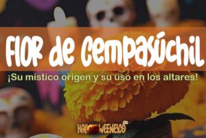 La Flor de Cempasúchil 🏵️ ¡El Misterioso Puente Entre el Mundo de los Vivos y los Muertos! 💀 17 IMAGEN - halloweenesco - V2 - Flor de Cempasúchil - significado de la flor de cempasúchil - 05