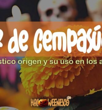 IMAGEN - halloweenesco - V2 - Flor de Cempasúchil - significado de la flor de cempasúchil - 05