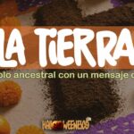 ¿Qué Significa la Tierra en el Altar de Muertos? 🎭🌎💀 ¡Descubre el Misterio! 49 IMAGEN - halloweenesco - V2 - Que Significa la Tierra en el Altar de Muertos - 05